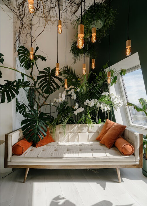 urban jungle