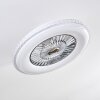 Ventilateur de plafond Piacenza LED Chrome, Blanc, 1 lumière, Télécommandes