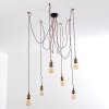 Suspension Zarow Brun, Laiton, 6 lumières