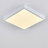 Plafonnier Broglen LED Blanc, 1 lumière