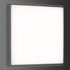 Plafonnier extérieur LCD TYP 5061 LED Noir, 1 lumière
