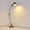 Lampe de table Arild Vert, Argenté, 1 lumière