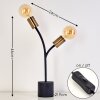 Lampe à poser Duvin Noir doré, 2 lumières