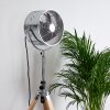 Ventilateur Magaluf Chrome, Bois clair
