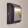 Applique murale d'extérieur Alkmaar LED Anthracite, 1 lumière