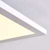 Plafonnier Salmi LED Blanc, 1 lumière, Télécommandes, Changeur de couleurs