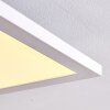 Plafonnier Salmi LED Blanc, 1 lumière, Télécommandes, Changeur de couleurs