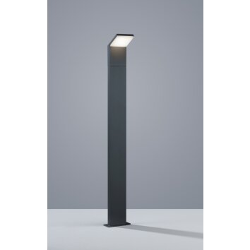 Borne lumineuse Trio PEARL LED Anthracite, 1 lumière