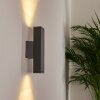 Applique murale Roseau LED Anthracite, 1 lumière