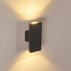 Applique murale Roseau LED Anthracite, 1 lumière