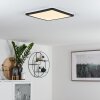 Plafonnier Siguna LED Noir, Blanc, 1 lumière