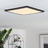 Plafonnier Siguna LED Noir, Blanc, 1 lumière