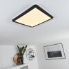 Plafonnier Siguna LED Noir, Blanc, 1 lumière