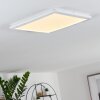 Plafonnier Siguna LED Blanc, 1 lumière