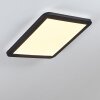 Plafonnier Siguna LED Noir, Blanc, 1 lumière