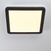 Plafonnier Siguna LED Noir, Blanc, 1 lumière