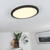 Plafonnier Siguna LED Noir, Blanc, 1 lumière