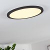 Plafonnier Siguna LED Noir, Blanc, 1 lumière