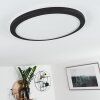 Plafonnier Siguna LED Noir, Blanc, 1 lumière