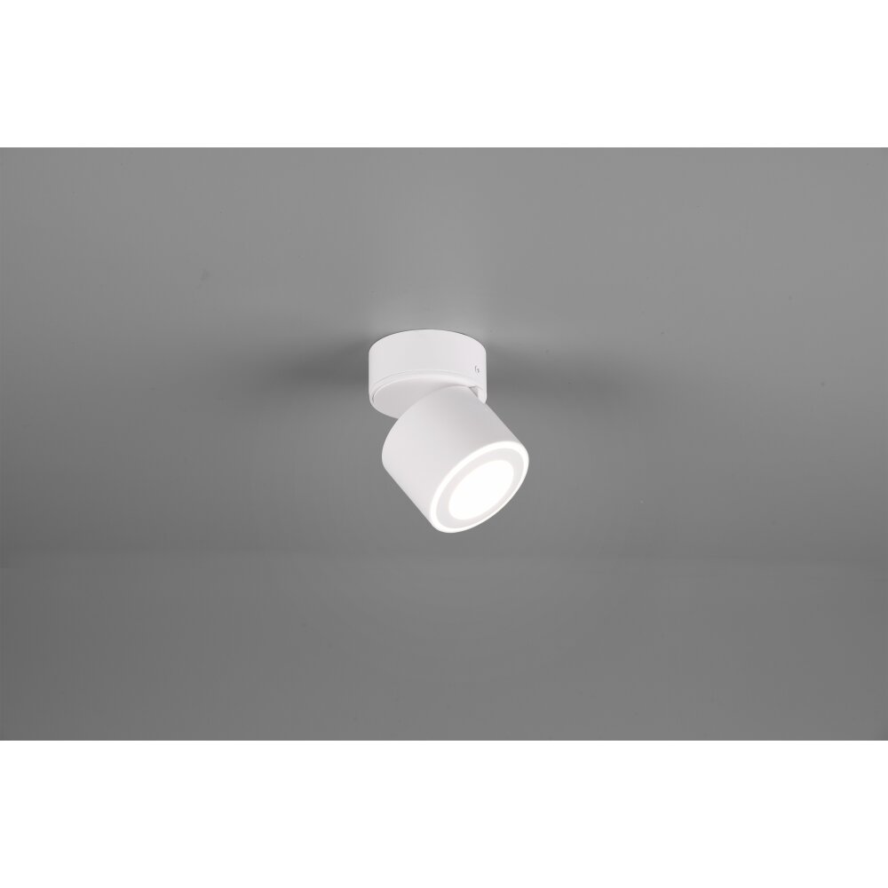 Plafonnier Trio Taurus LED Blanc, 2 lumières main product photo