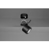 Plafonnier Trio Taurus LED Noir, 2 lumières