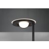 Lampadaire Trio Barrie LED Noir, 2 lumières