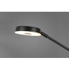 Lampadaire Trio Barrie LED Noir, 2 lumières