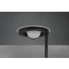 Lampadaire Trio Barrie LED Noir, 2 lumières