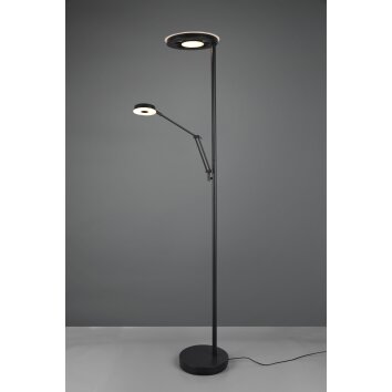 Lampadaire Trio Barrie LED Noir, 2 lumières