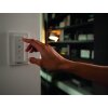 Spot de plafond, kit de base Philips Hue Ambiance White Runner Noir, 2 lumières, Télécommandes