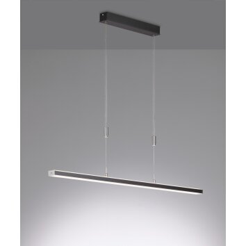 Suspension Fischer & Honsel Vitan TW LED Noir, 1 lumière