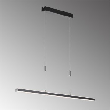 Suspension Fischer & Honsel Vitan TW LED Noir, 1 lumière