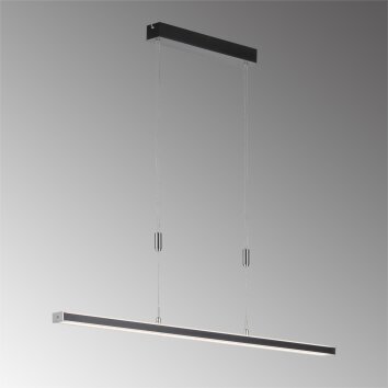 Suspension Fischer & Honsel Vitan TW LED Noir, 1 lumière