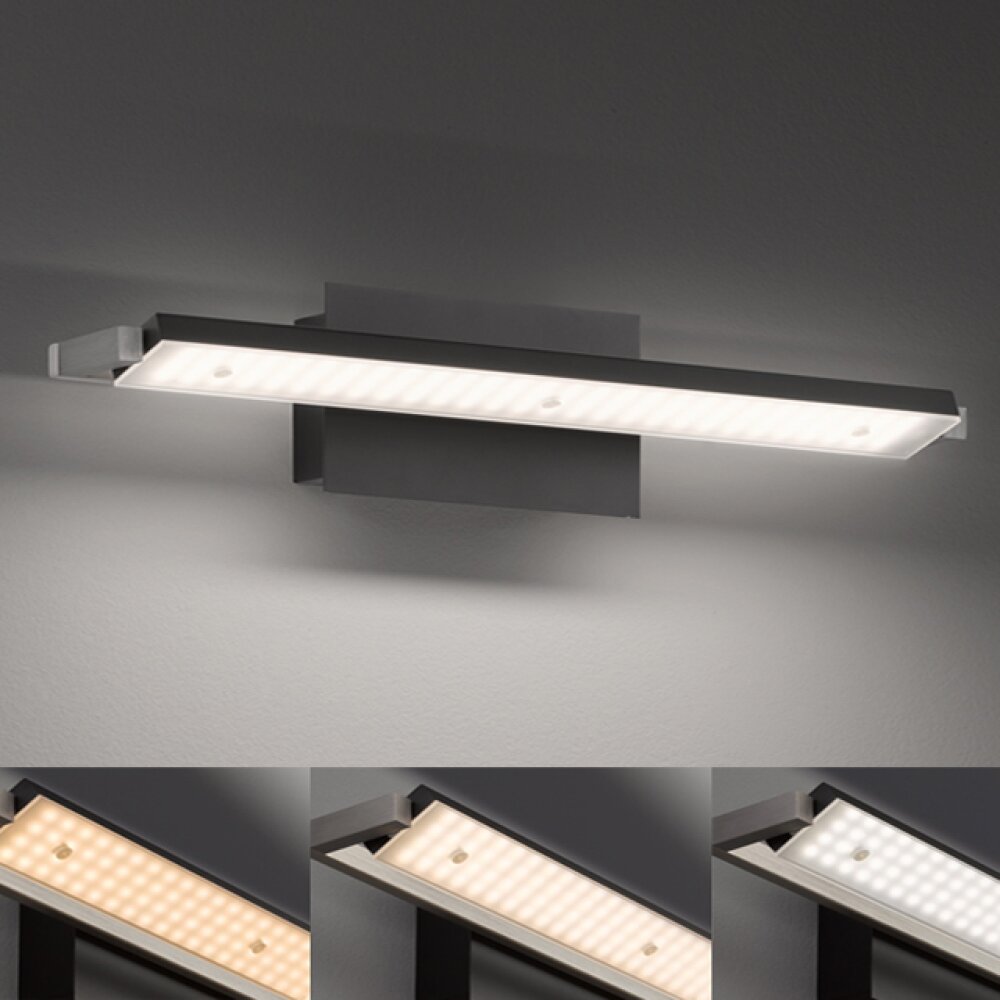 Applique murale Fischer & Honsel Pare TW LED Noir, 1 lumière main product photo