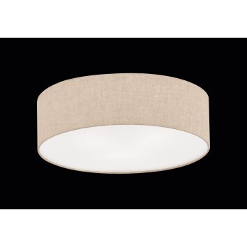 Plafonnier Fischer & Honsel Thor Sable, 4 lumières