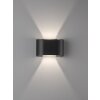 Applique murale Fischer & Honsel Wall LED Noir, 2 lumières