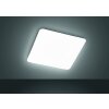 Plafonnier Fischer & Honsel Aldo LED Blanc, 1 lumière