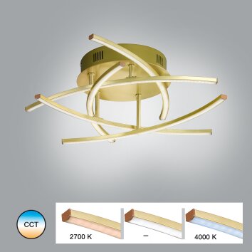 Plafonnier Fischer & Honsel Cross TW LED Laiton, 5 lumières, Télécommandes