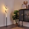 Lampadaire Pitasch LED Noir, 1 lumière