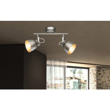 Spot de plafond Globo Hernan Gris, Argenté, 2 lumières