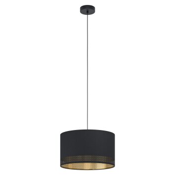 Suspension Eglo ESTEPERRA Noir, 1 lumière