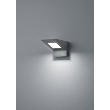 Applique murale d'extérieur Trio Nelson LED Anthracite, 1 lumière