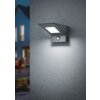 Applique murale d'extérieur Trio Nelson LED Anthracite, 1 lumière, Détecteur de mouvement