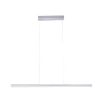 Suspension Leuchten-Direkt NIRO LED Nickel mat, 2 lumières Suspension Leuchten-Direkt NIRO LED Nickel mat, 2 lumières