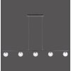 Suspension Paul Neuhaus WIDOW LED Noir, 5 lumières