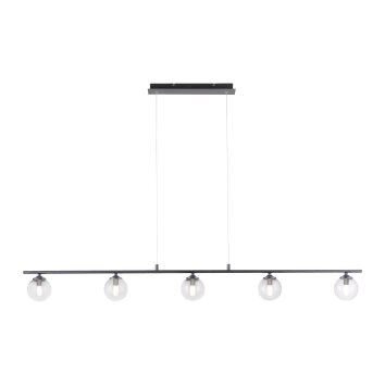 Suspension Paul Neuhaus WIDOW LED Noir, 5 lumières