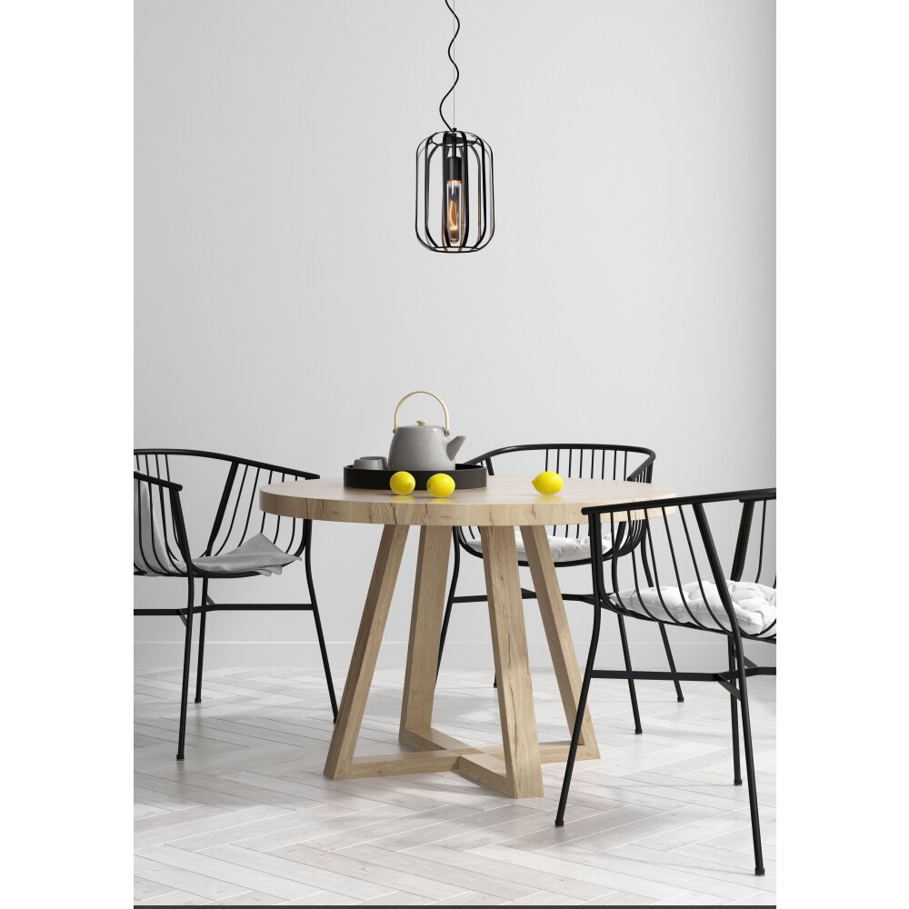 Suspension Lucide FERN Noir, 1 lumière main product photo