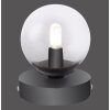 Lampe de table Paul Neuhaus WIDOW LED Nickel mat, Noir, 1 lumière