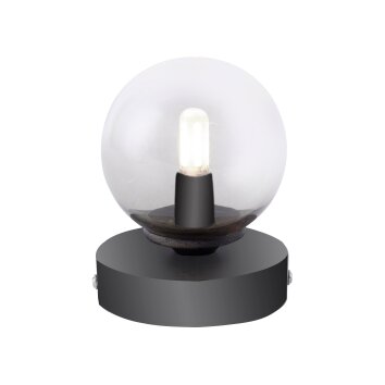 Lampe de table Paul Neuhaus WIDOW LED Nickel mat, Noir, 1 lumière