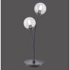 Lampe de table Paul Neuhaus WIDOW LED Nickel mat, Noir, 2 lumières